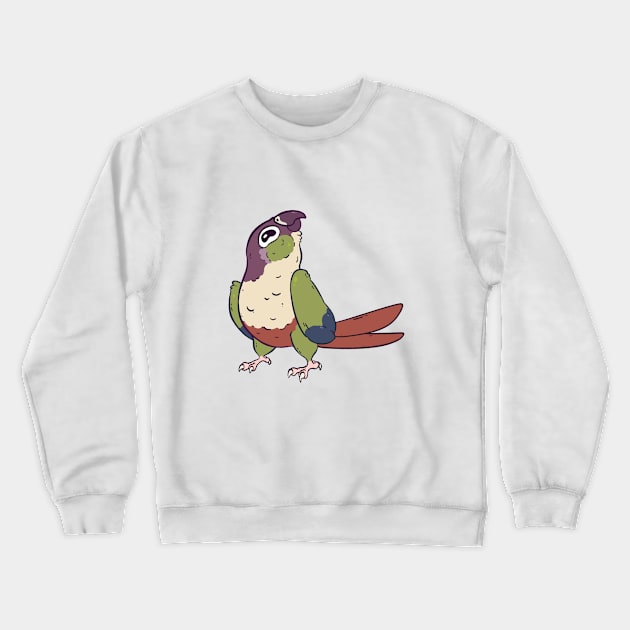 Green Cheek Conure Crewneck Sweatshirt by BirdPresident